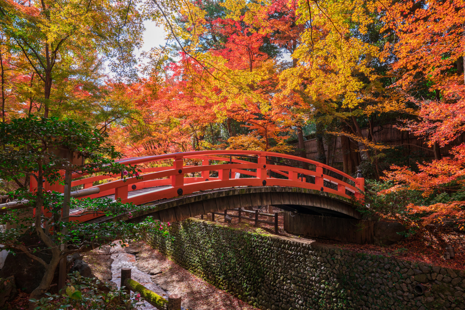 北野天満宮 紅葉